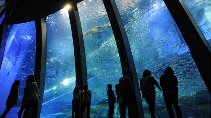 【横浜・八景島シーパラダイス】4つの水族館で一日遊べる！アクアリゾーツパス付（和洋中朝食バイキング）